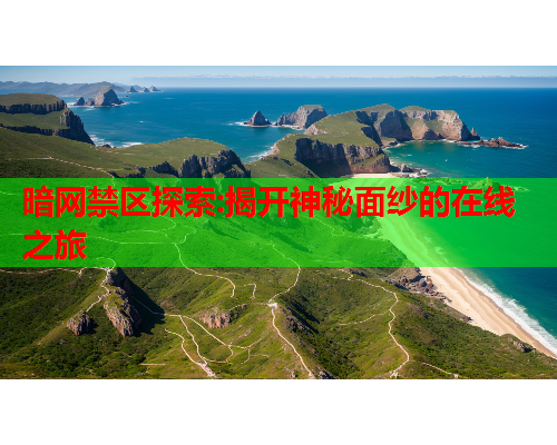 暗网禁区探索:揭开神秘面纱的在线之旅