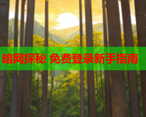 暗网探秘 免费登录新手指南