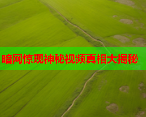 暗网惊现神秘视频真相大揭秘