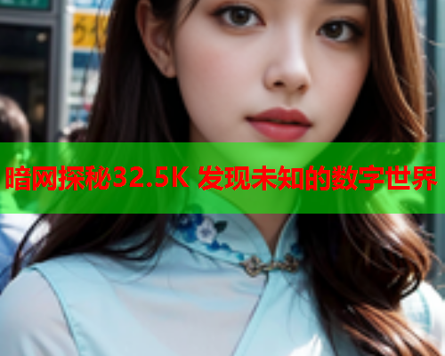 暗网探秘32.5K 发现未知的数字世界