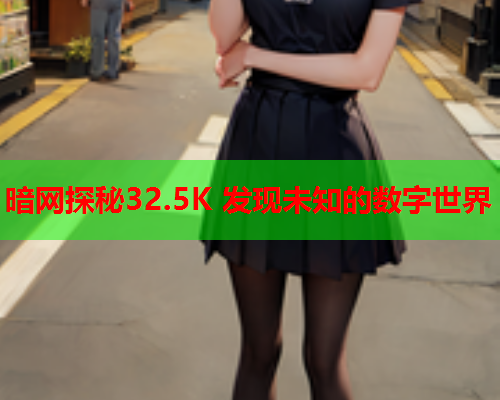 暗网探秘32.5K 发现未知的数字世界