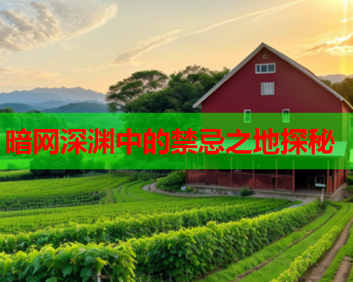 暗网深渊中的禁忌之地探秘