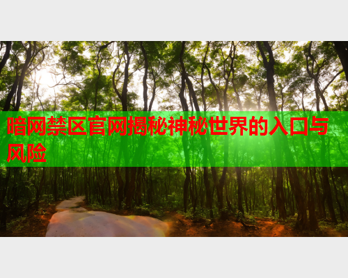 暗网禁区官网揭秘神秘世界的入口与风险