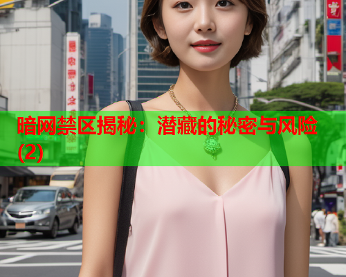 暗网禁区揭秘：潜藏的秘密与风险(2)