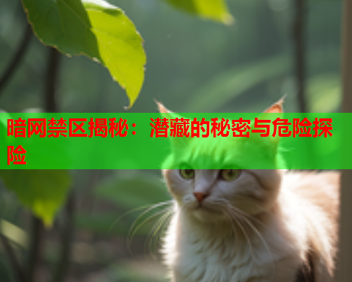暗网禁区揭秘：潜藏的秘密与危险探险
