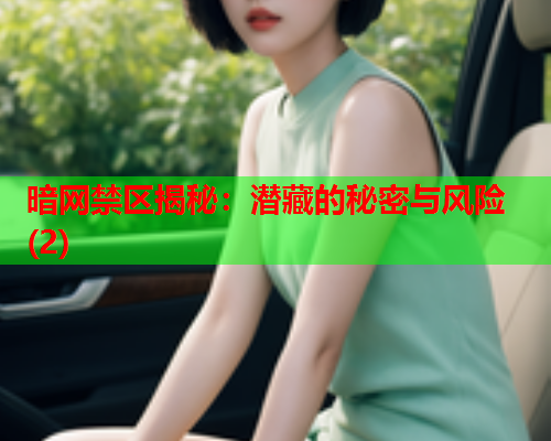 暗网禁区揭秘：潜藏的秘密与风险(2)