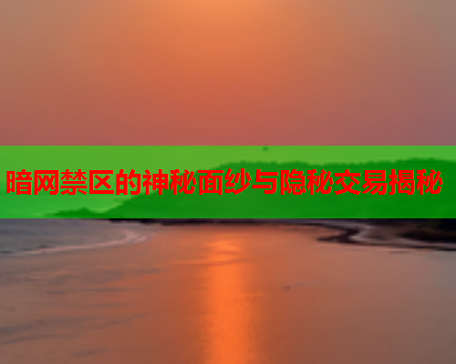 暗网禁区的神秘面纱与隐秘交易揭秘