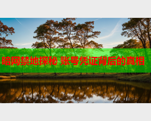 暗网禁地探秘 账号凭证背后的真相
