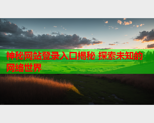 神秘网站登录入口揭秘 探索未知的网络世界