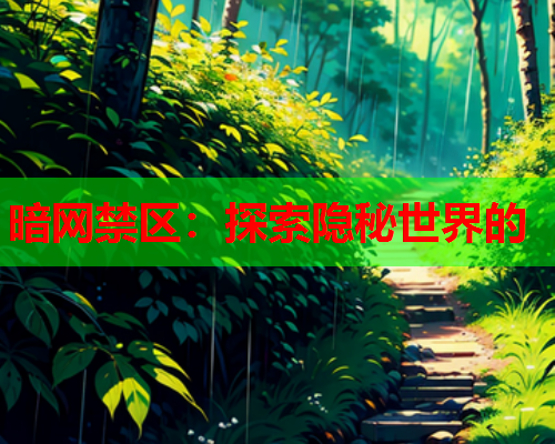 暗网禁区：探索隐秘世界的