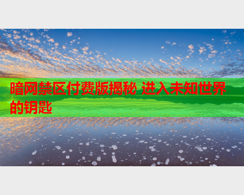 暗网禁区付费版揭秘 进入未知世界的钥匙