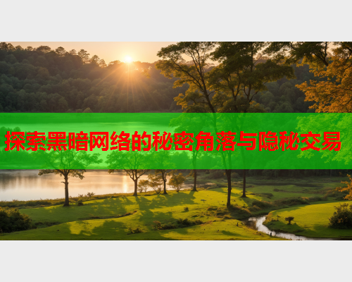 探索黑暗网络的秘密角落与隐秘交易