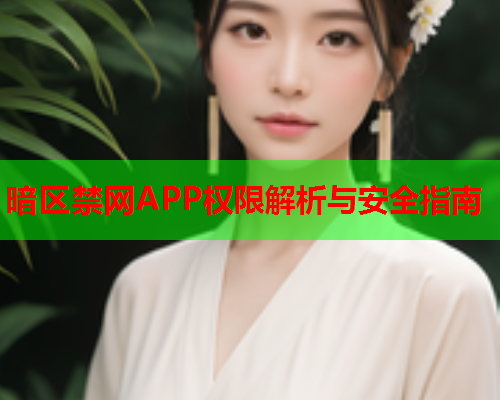暗区禁网APP权限解析与安全指南