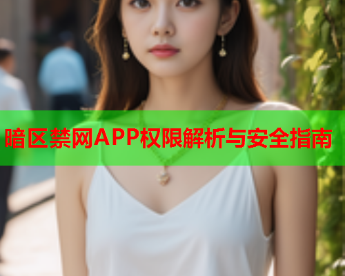 暗区禁网APP权限解析与安全指南