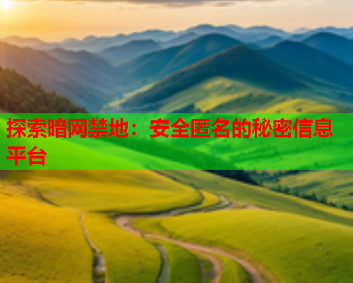 探索暗网禁地：安全匿名的秘密信息平台