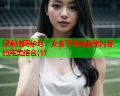 探索暗网禁地：安全下载与隐秘内容的完美结合(1)