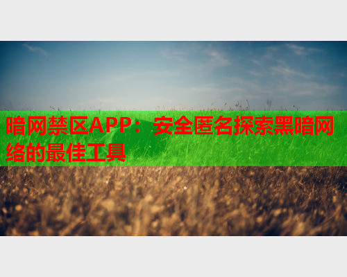 暗网禁区APP：安全匿名探索黑暗网络的最佳工具