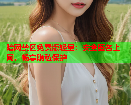 暗网禁区免费版轻量：安全匿名上网，畅享隐私保护