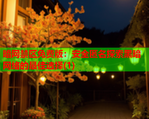 暗网禁区免费版：安全匿名探索黑暗网络的最佳选择(1)