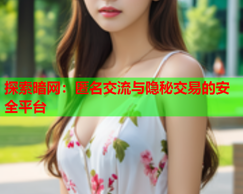 探索暗网：匿名交流与隐秘交易的安全平台