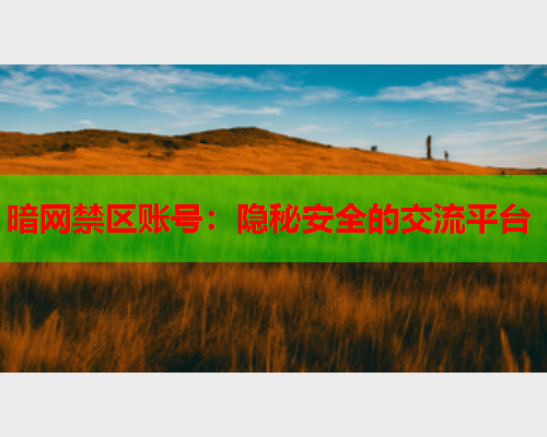 暗网禁区账号：隐秘安全的交流平台