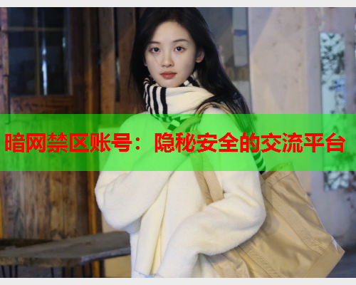 暗网禁区账号：隐秘安全的交流平台