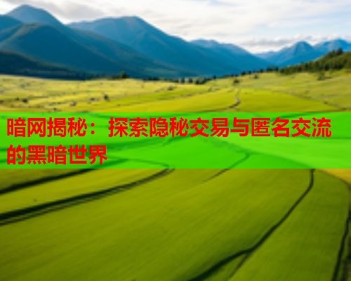 暗网揭秘：探索隐秘交易与匿名交流的黑暗世界